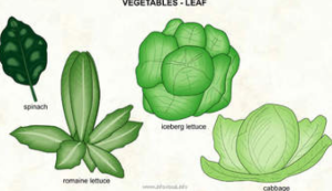 Green Veges help to improve blood circulation