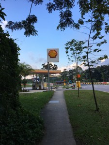 the corner Shell Station at Sungei Kadut 