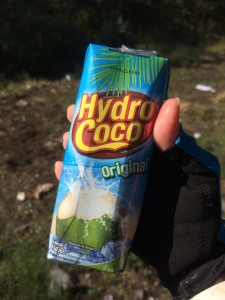 Hydro Coco is the official sponsor for the coconut drinks
